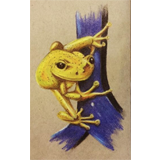 Colored pencil drawing of a tree frog squatting on the side of a fence railing. Drawing by Sebastian Aravena.